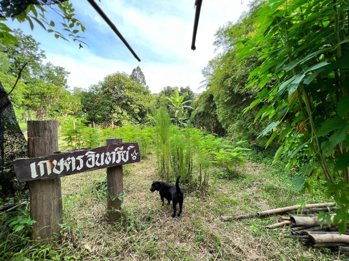 Phow Homestay Ban Mai  Extérieur photo